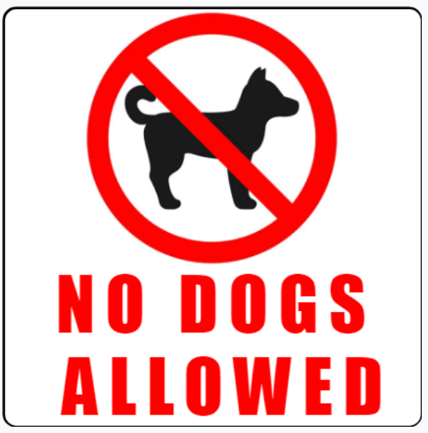 NO DOGS ALLOWED sign